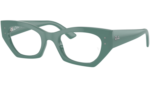 RAY-BAN FRAMES 7330/8345